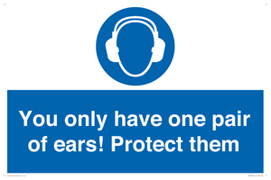 Mandatory: You only have one pair of ears! Protect them